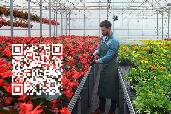 root-service ag | Schweiz