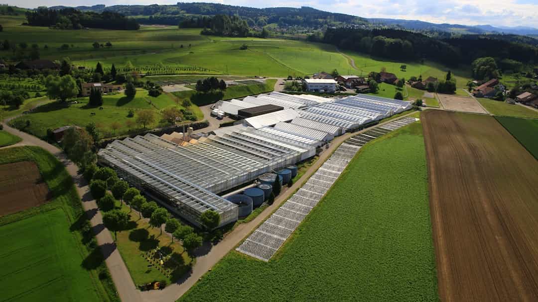 Schnittstelle zur Blumenbörse Schweiz